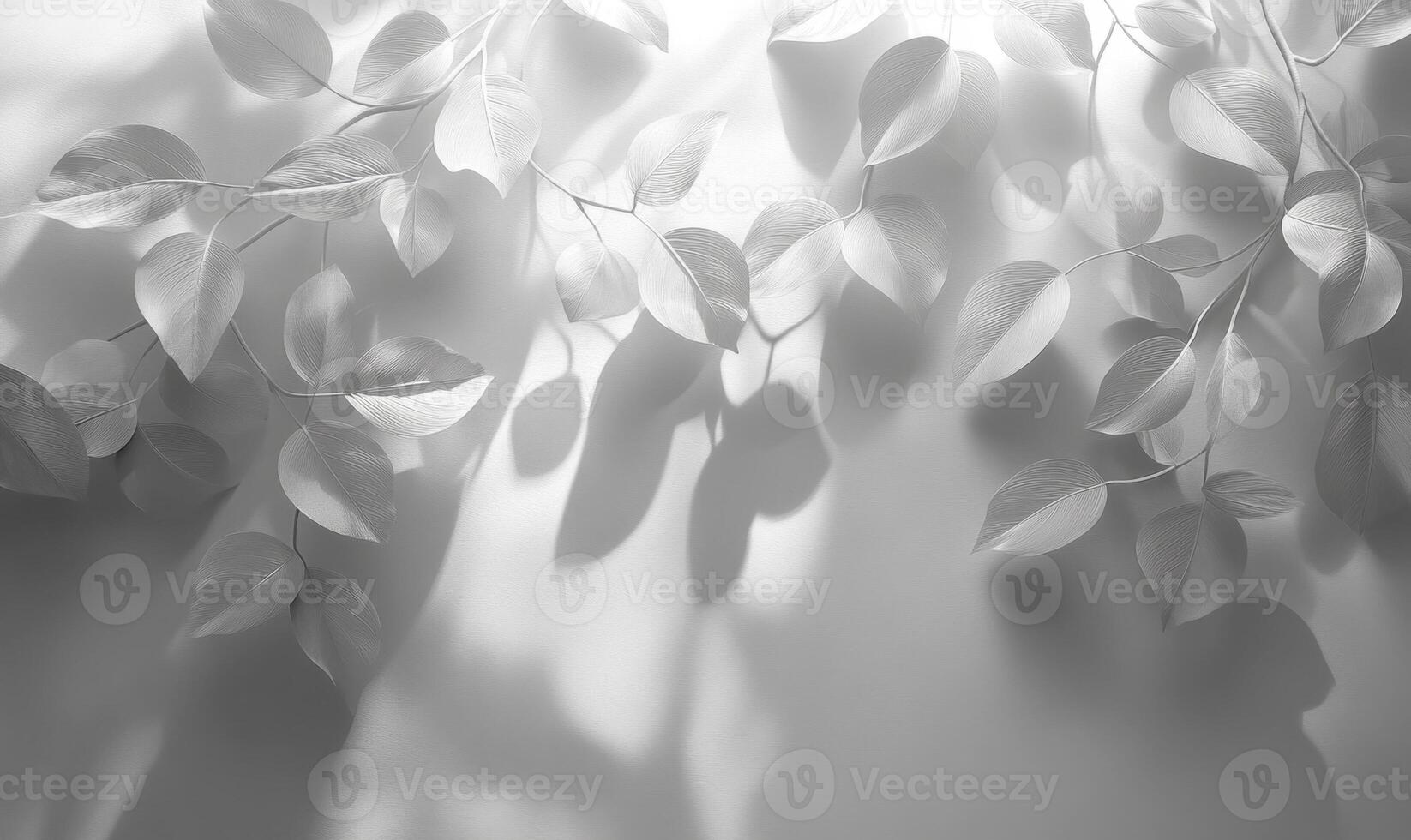 Green leafy branches leaves draping elegantly, casting delicate shadows on pristine white wall under soft sunlight background photo