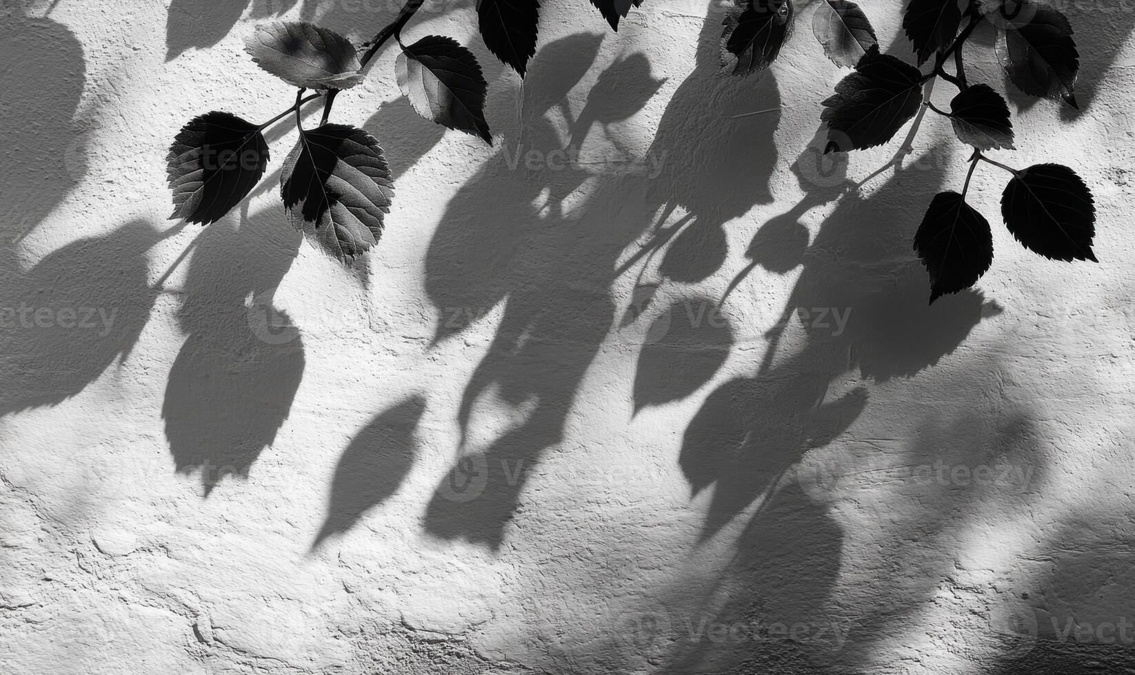 Dark foliage casting dramatic leaves shadows against white textured wall, forming geometric natural silhouette pattern photo