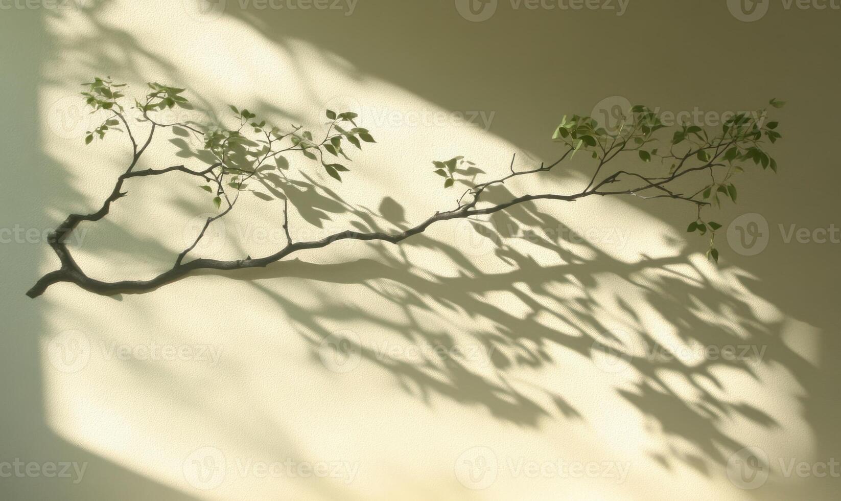 Green leafy branches leaves draping elegantly, casting delicate shadow on pristine white wall under soft sunlight background photo