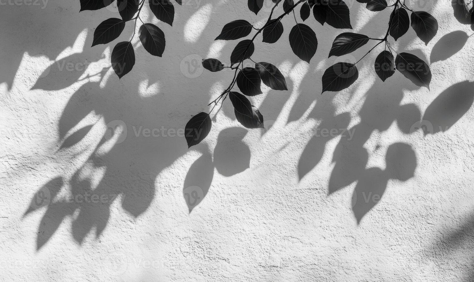Dark foliage casting dramatic leaves shadows against white textured wall, forming geometric natural silhouette pattern photo