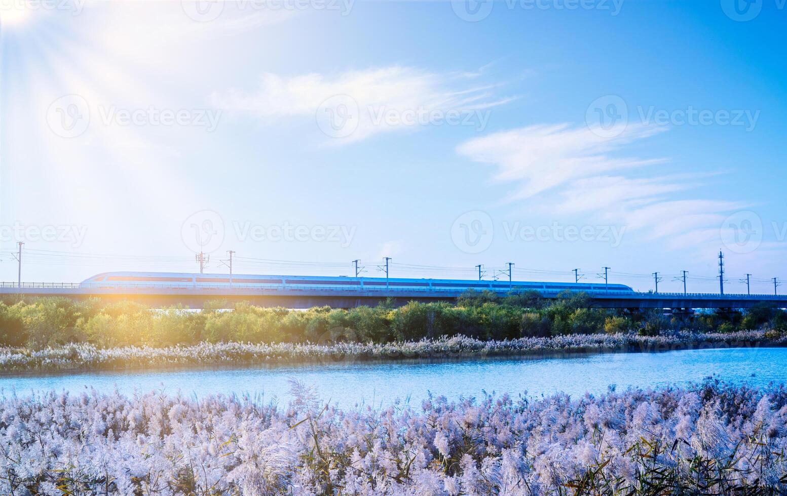The train passed over the bridge, lake, trees and reeds on the side, high-speed railway photo