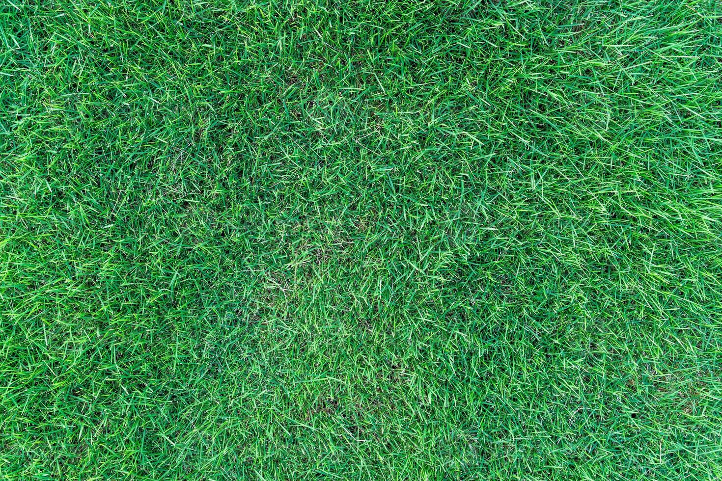 grass field pattern, nobody, top view photo