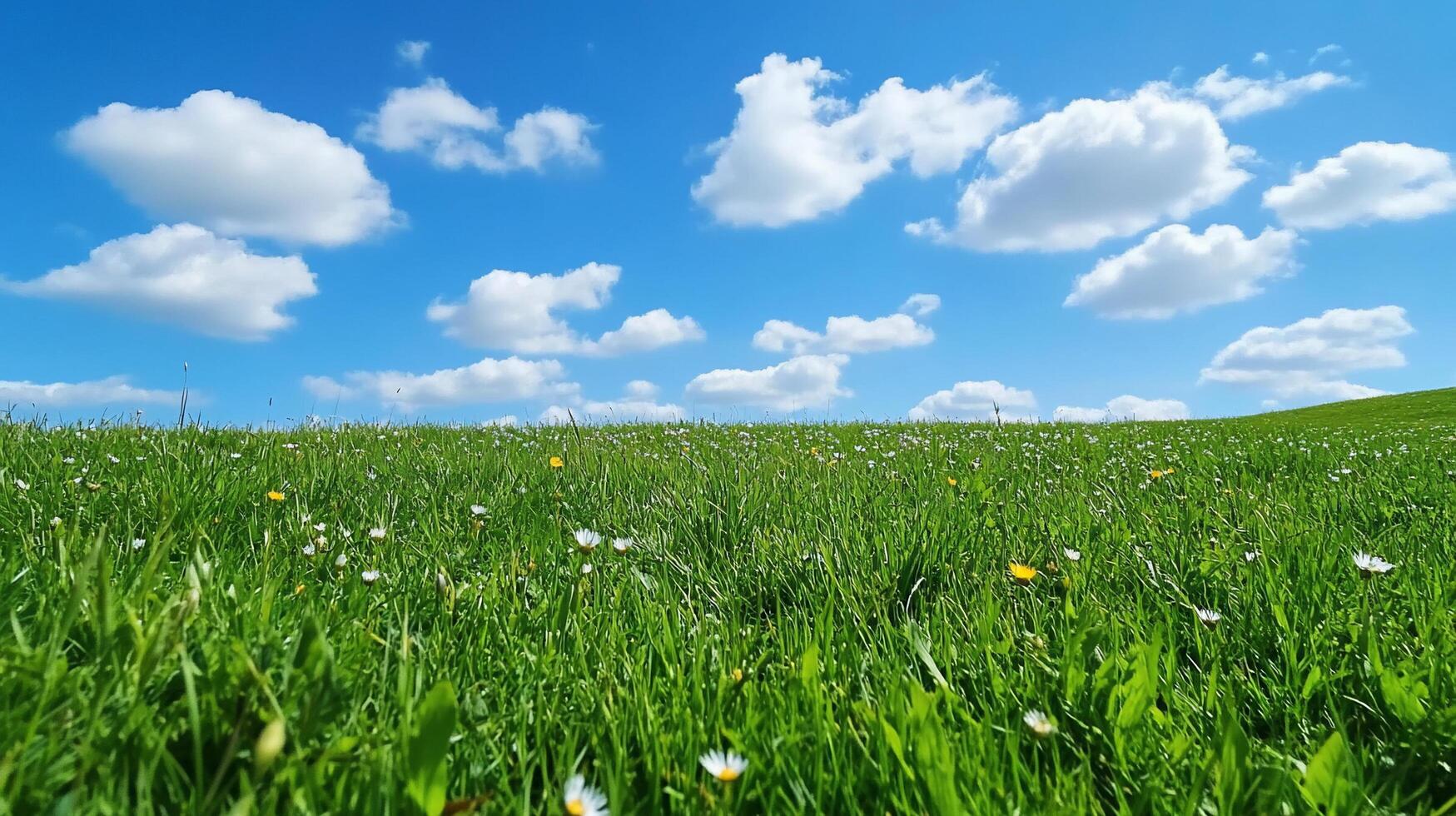A vibrant green field under a blue sky with fluffy white clouds. photo