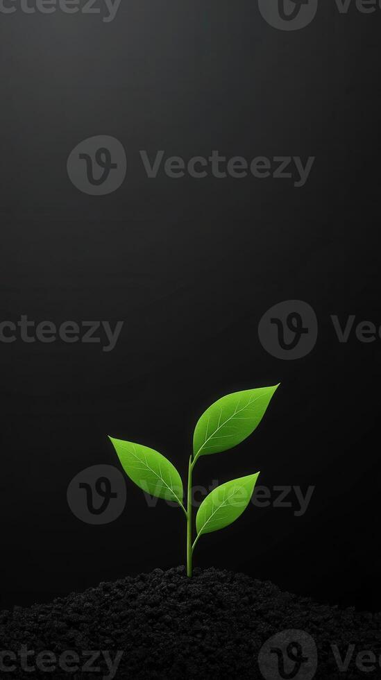 Green plant sprouting from dark soil under soft light in a minimalist setting photo