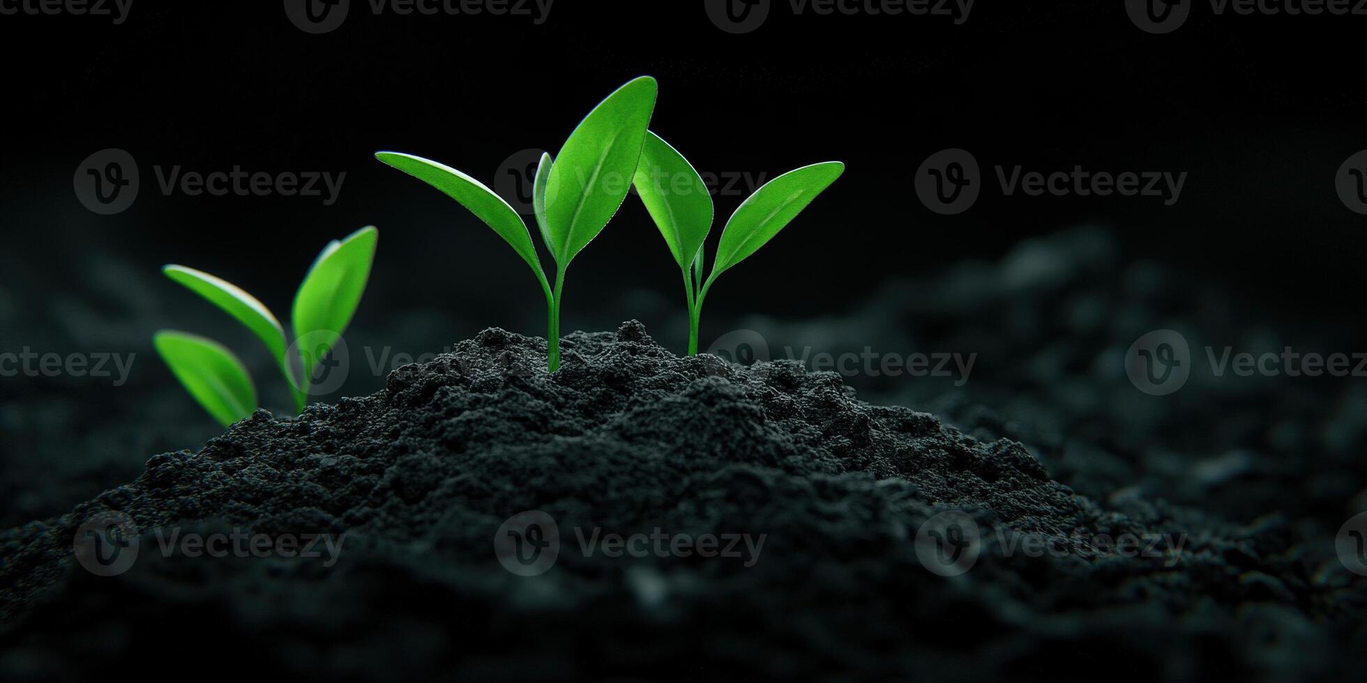 New seedlings emerging from dark soil in a tranquil environment photo