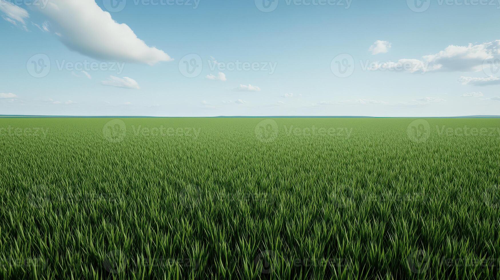Lush green grass field under a clear blue sky in a rural landscape photo