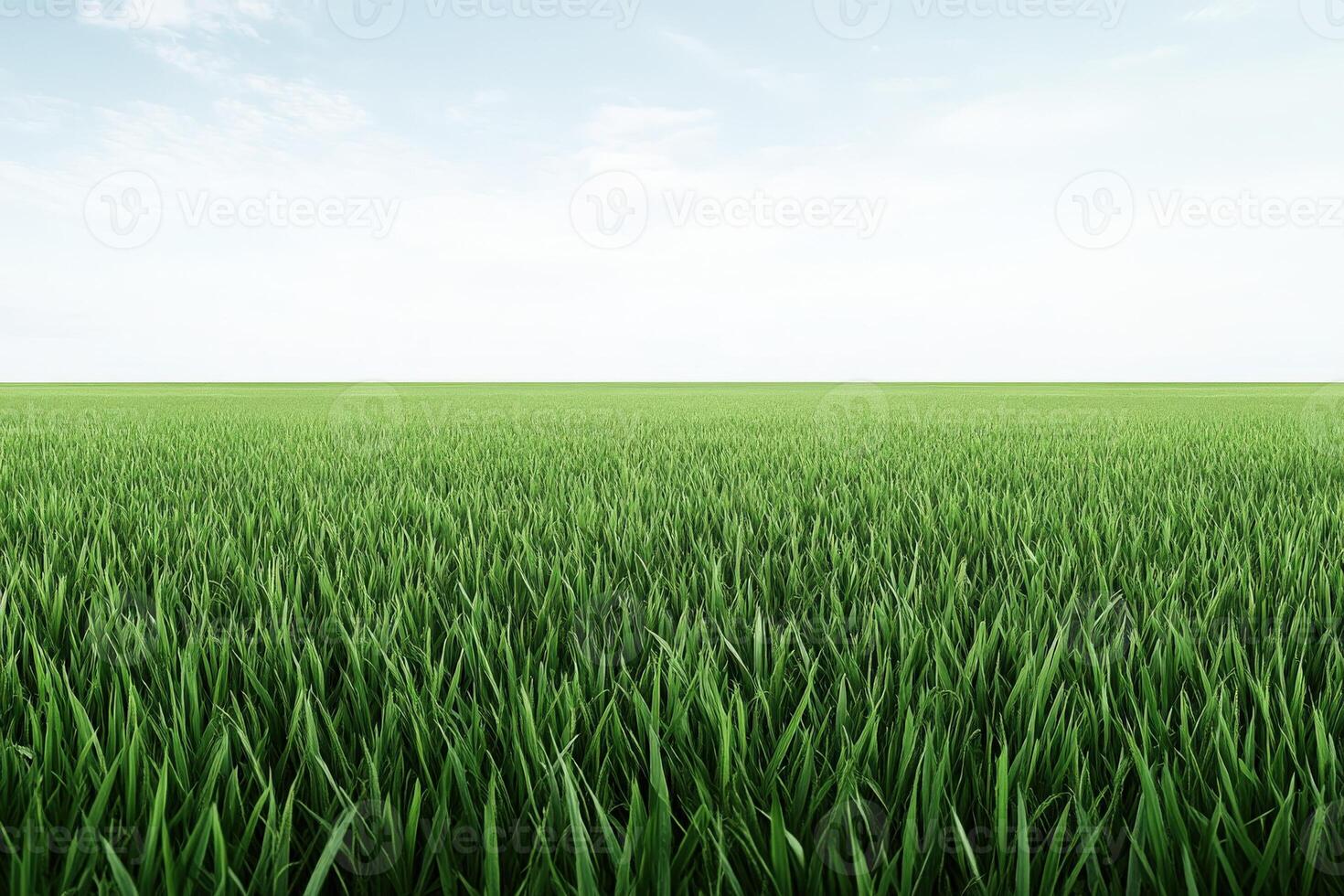 Lush green grass field under bright blue sky during daytime photo