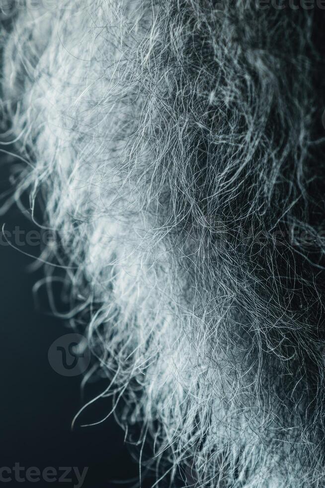 Close-up view of white wool fibers showcasing texture and detail photo