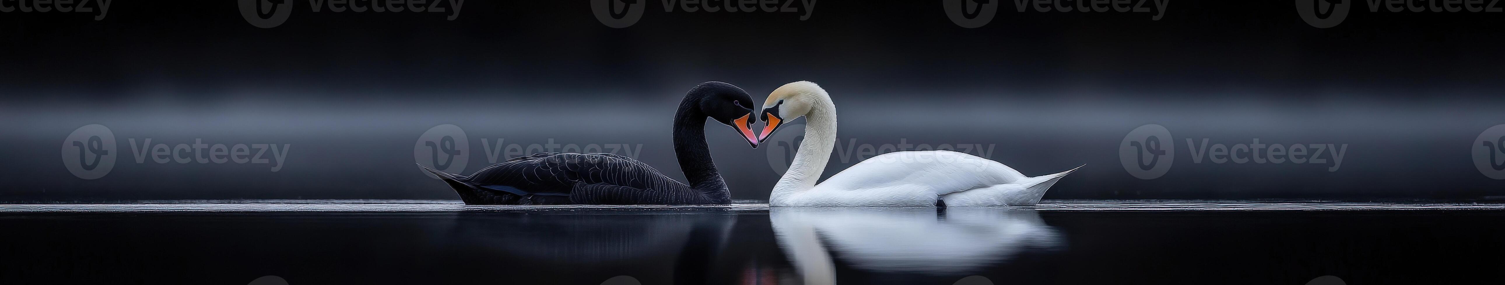 Swans in harmonious embrace on a tranquil lake at dusk photo