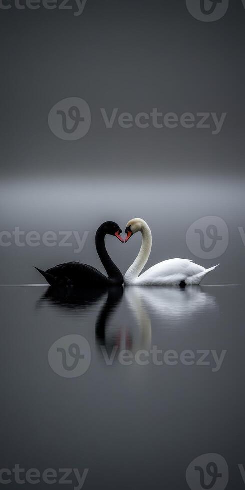 Two majestic swans forming a heart shape in tranquil water photo