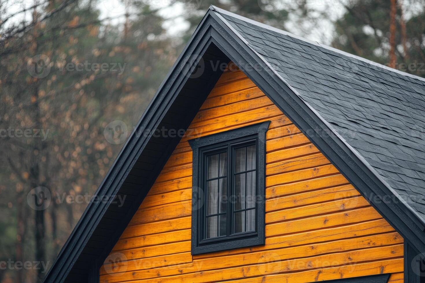 Modern wooden cabin with black roof and window in forest setting shows contrast and style photo