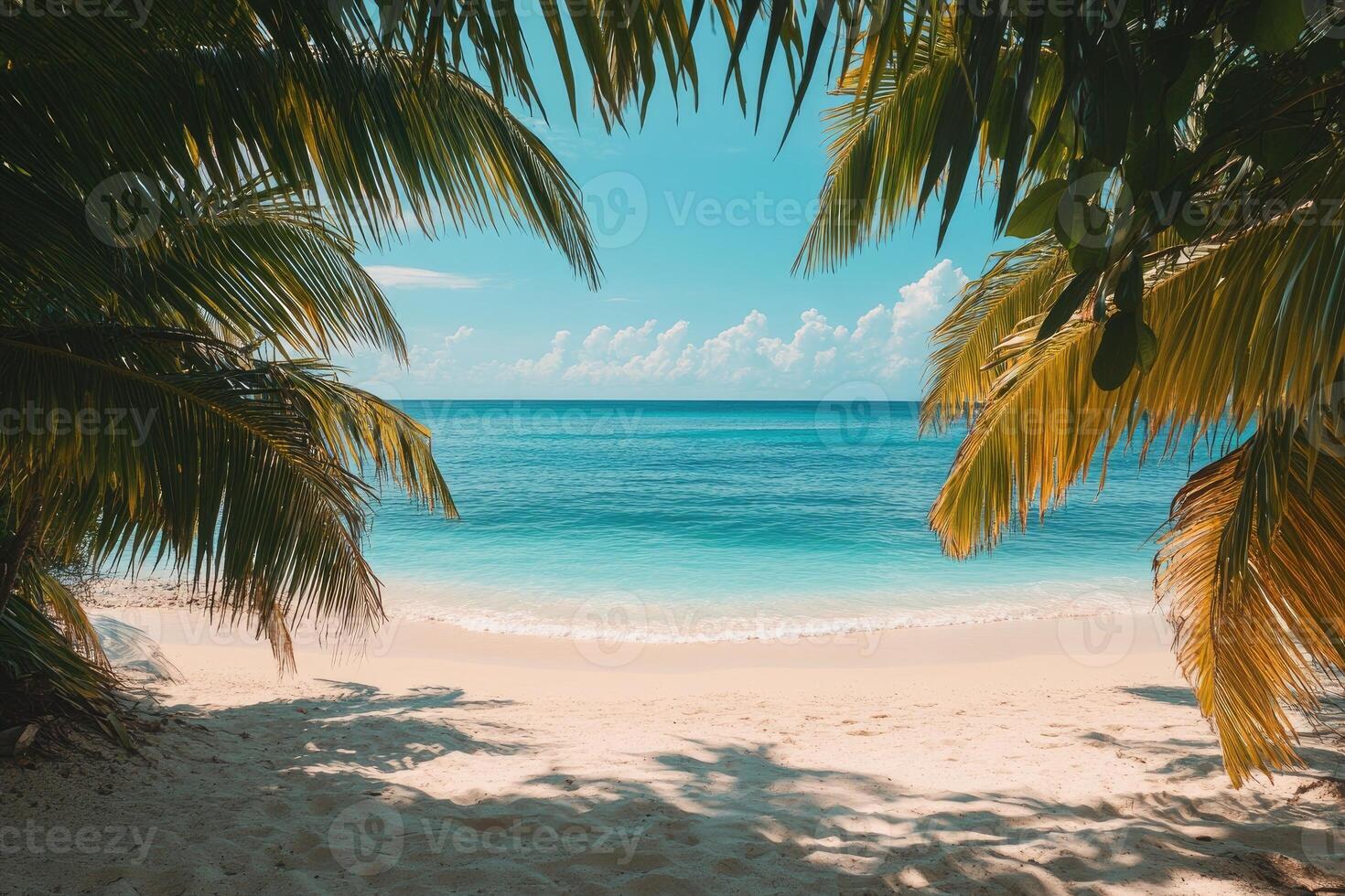 Palm trees framing idyllic white sand beach and turquoise ocean photo
