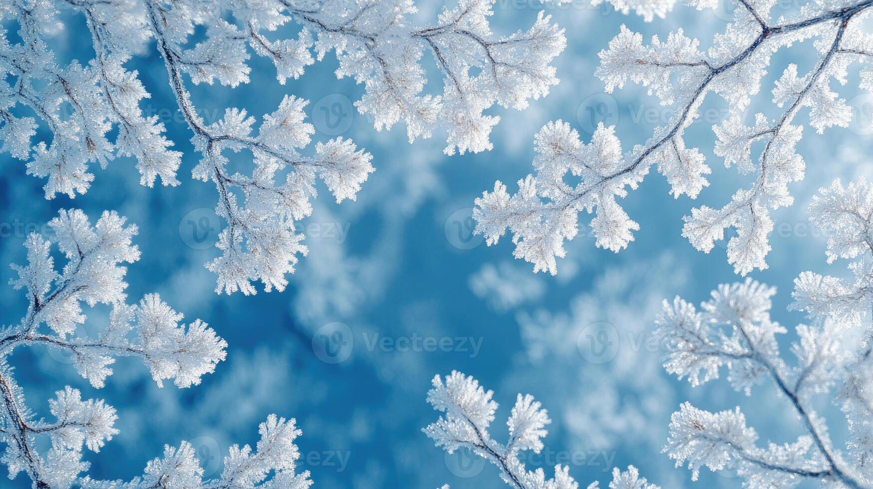 Frozen tree branches covered with frost on blue sky background photo