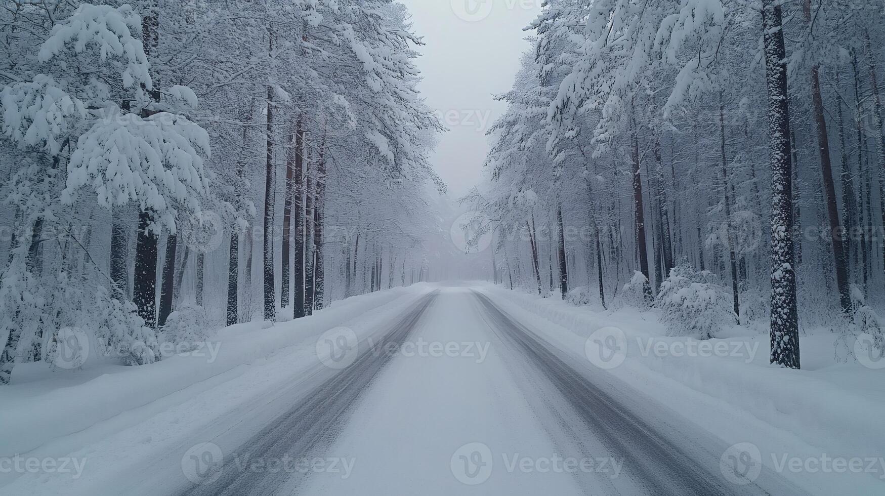 Snowy road leading through winter forest covered in snow photo