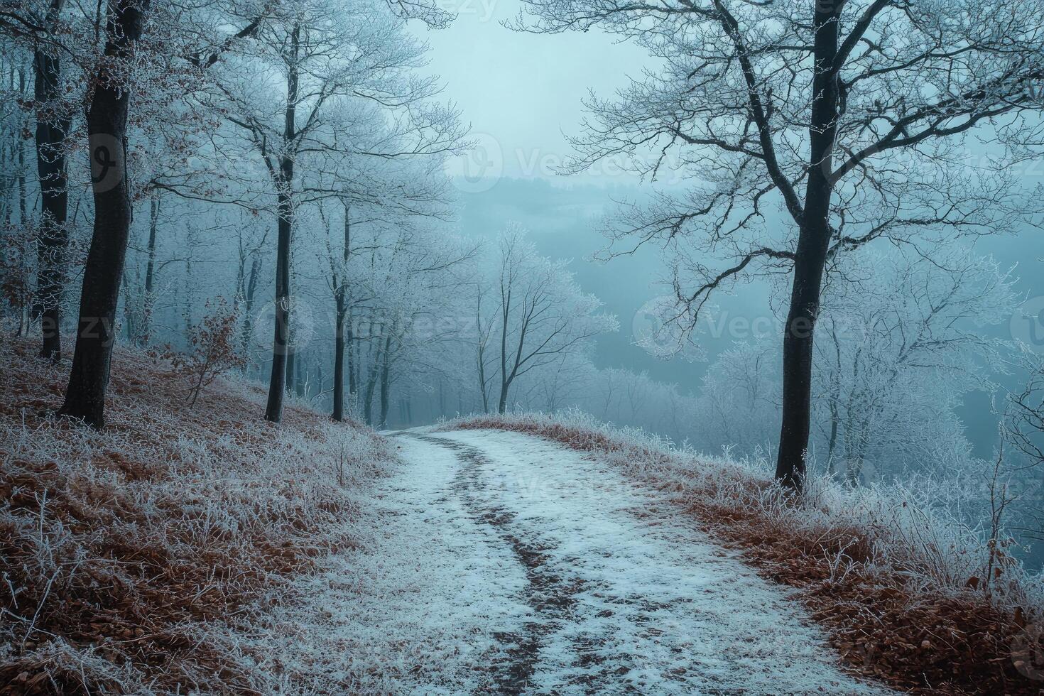 Snowy path winding through frosty winter forest on misty day photo
