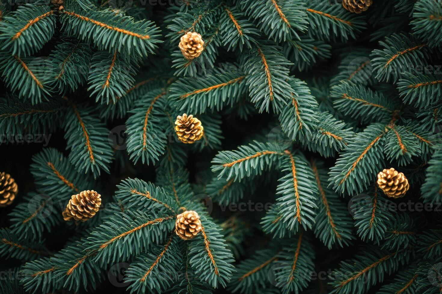 Golden pine cones resting on lush green pine branches creating festive atmosphere photo