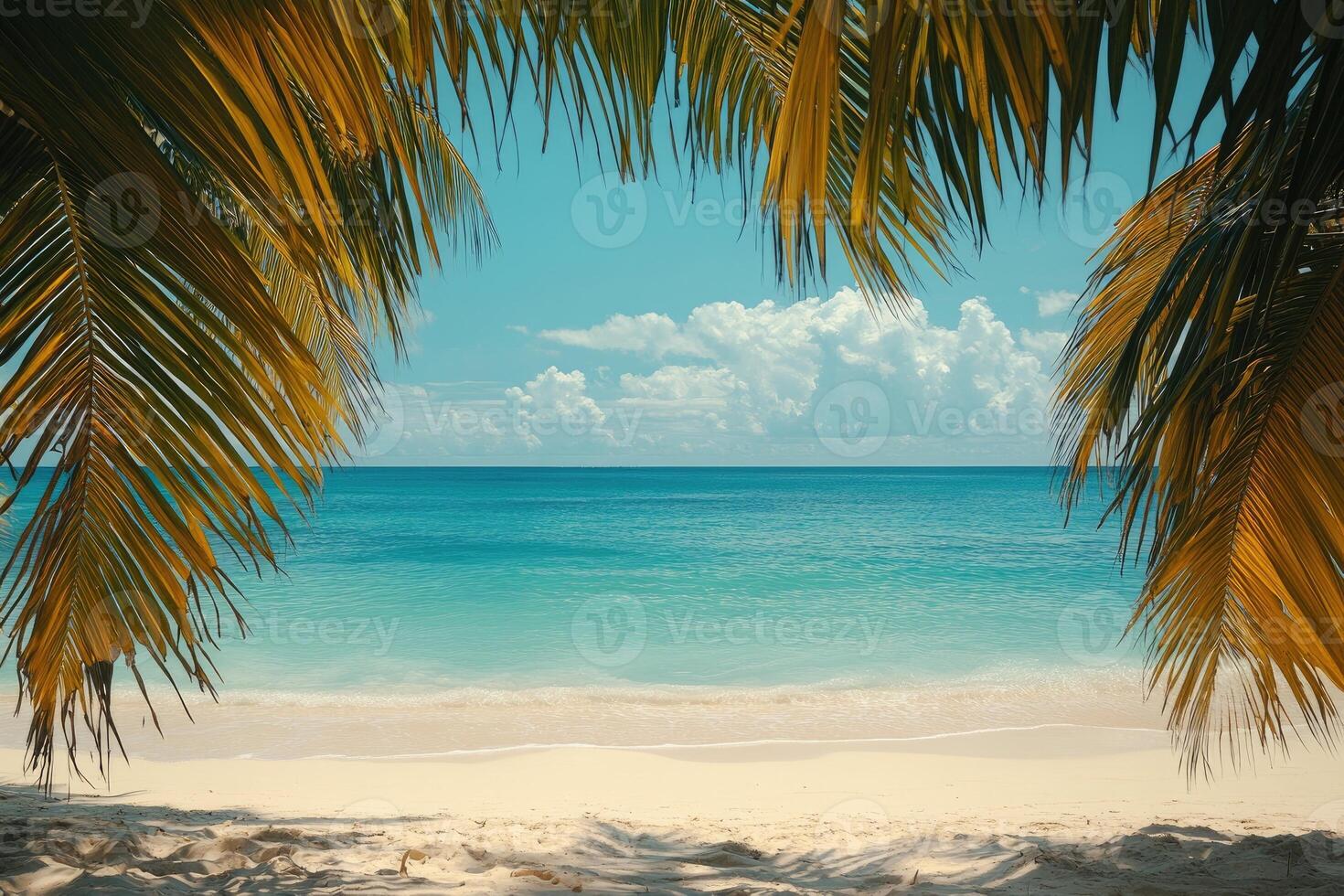 Tropical beach with palm trees framing turquoise ocean and white sand photo
