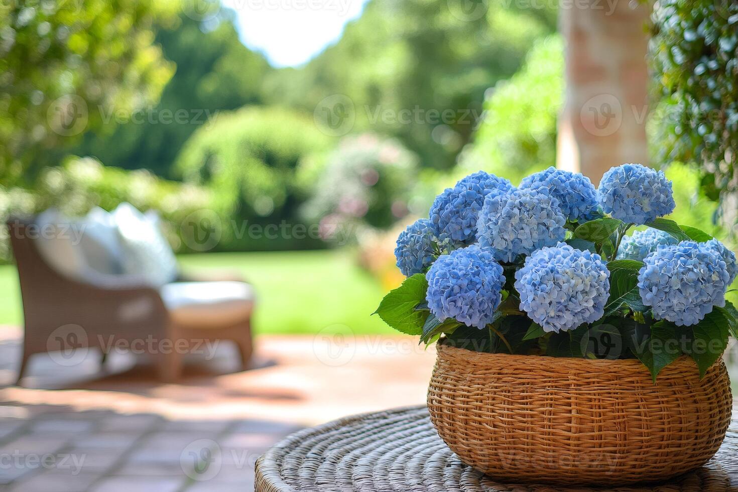 Blue hydrangeas in wicker basket decorating patio table in lush garden photo