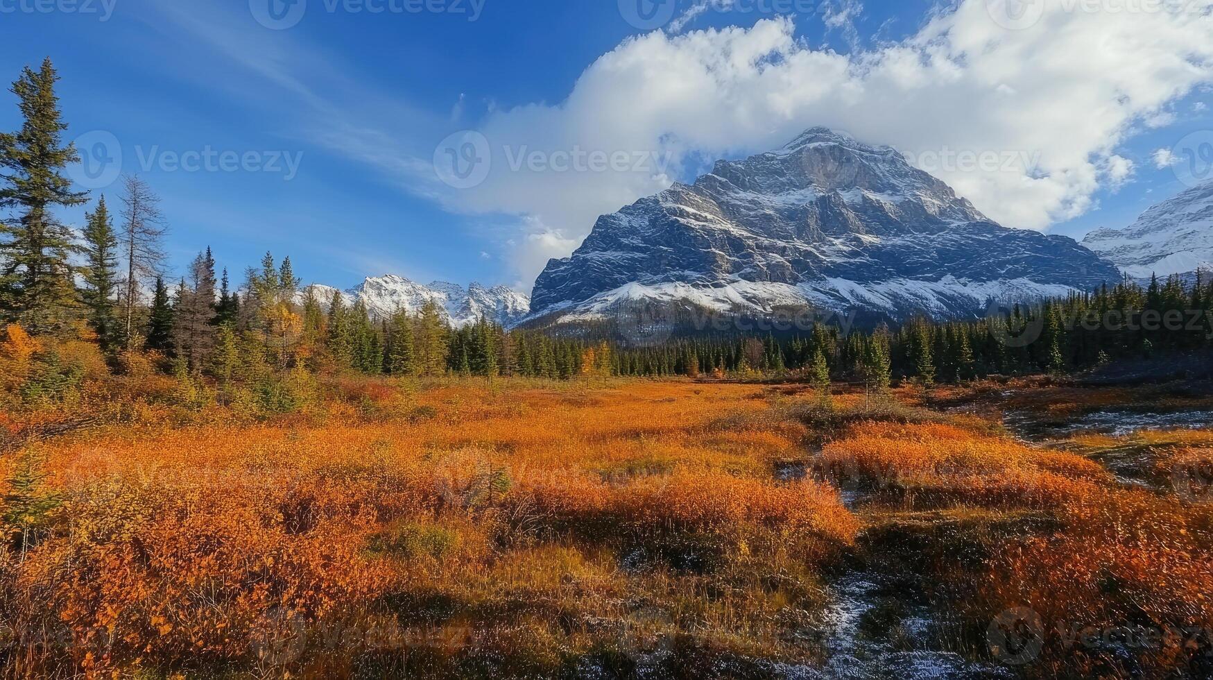 Mount assiniboine provincial park shining in autumn colors with snow covered peak photo