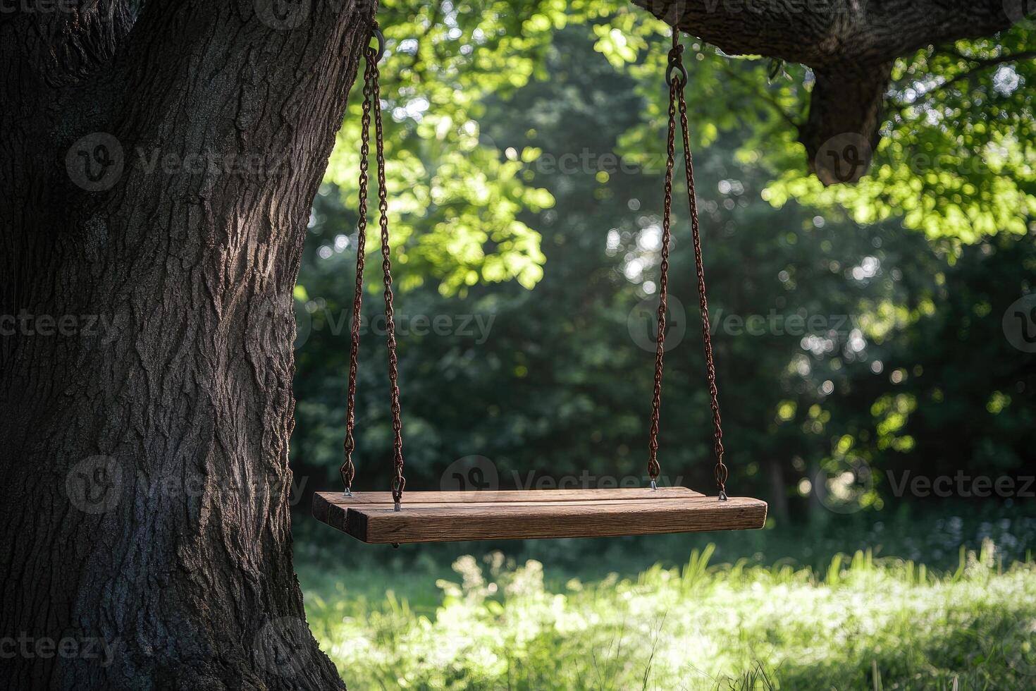 Empty swing hanging from a tree branch in a peaceful forest photo