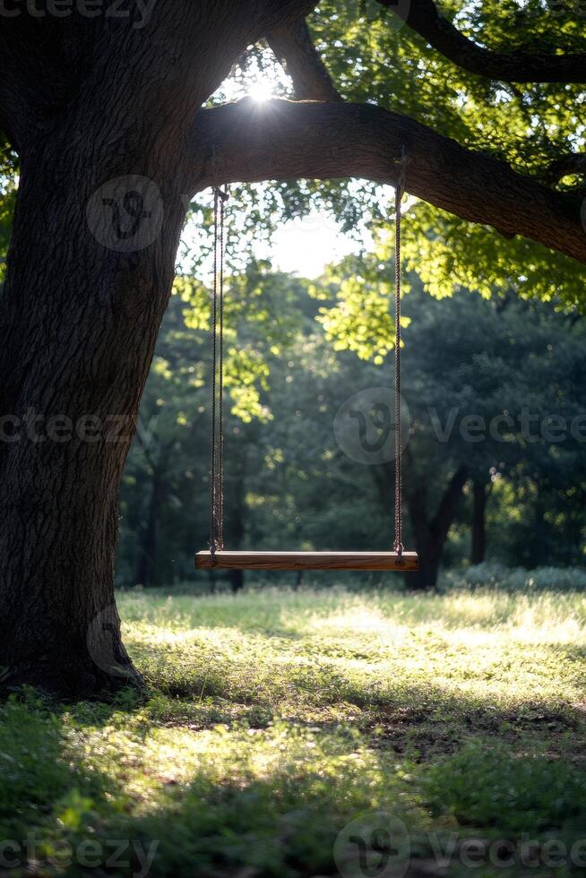 Empty swing hanging from a tree in a sunny park photo