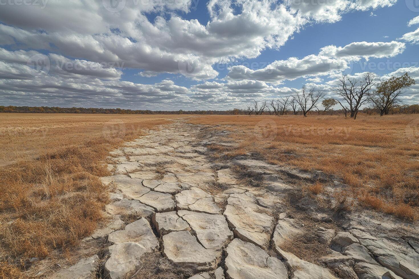 Dry cracked soil stretching across a parched field under cloudy sky photo
