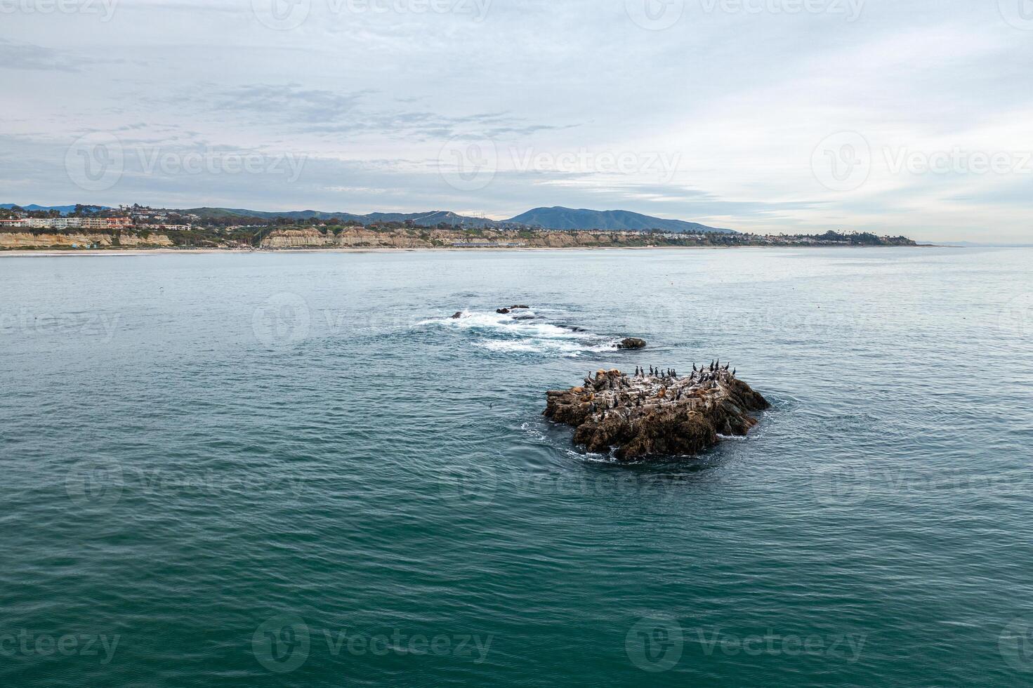 Aerial view of the San Clemente coastline showcasing seal rock with wildlife photo