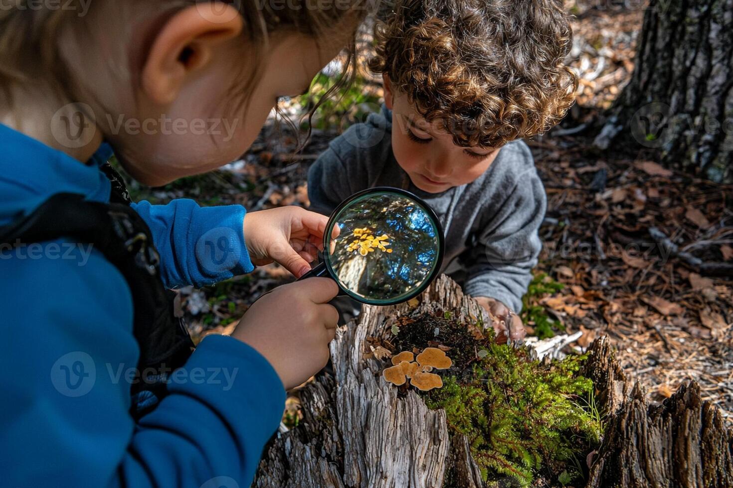 Two children looking at a tree stump with a magnifying glass photo