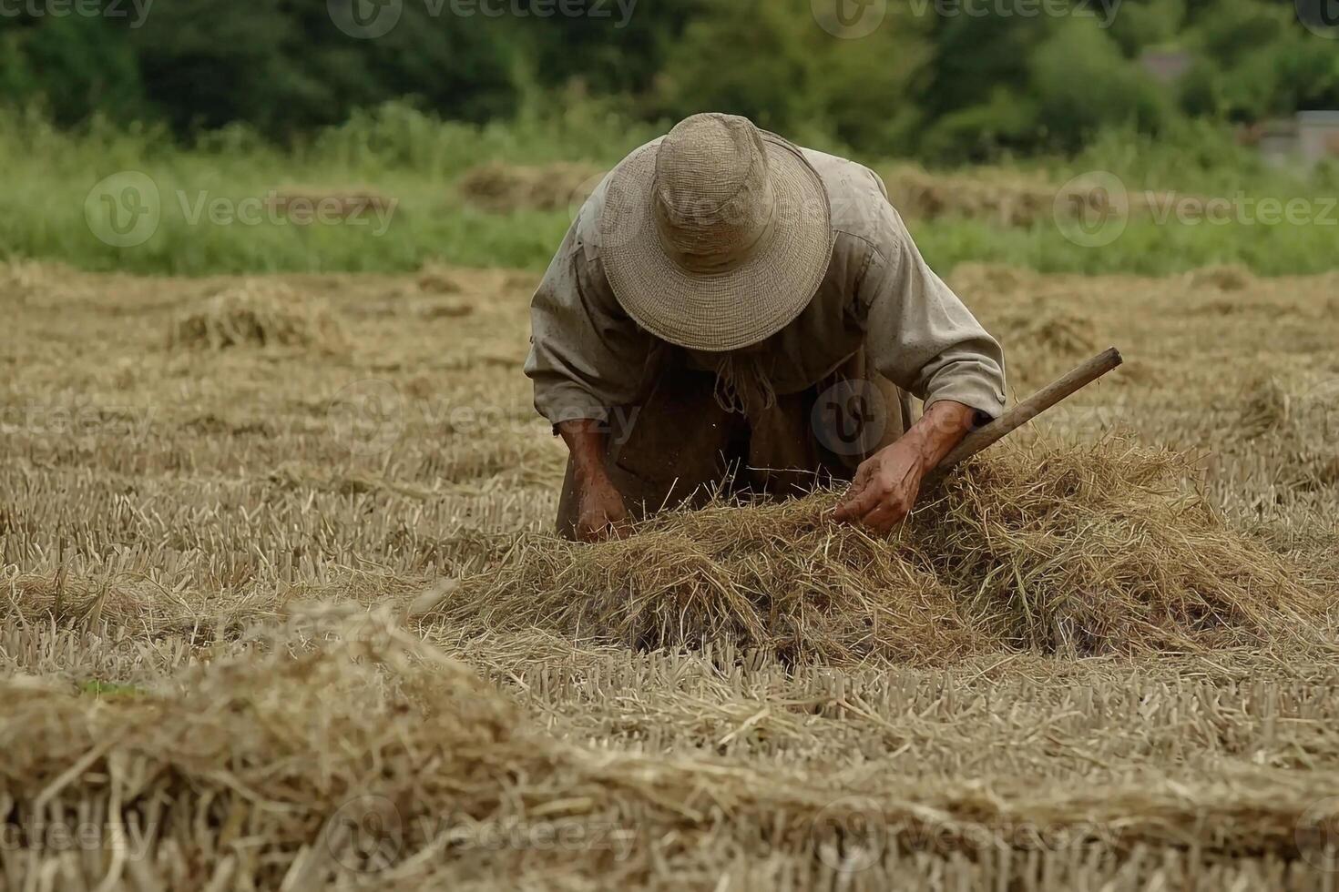 A man in a hat is working in a field photo