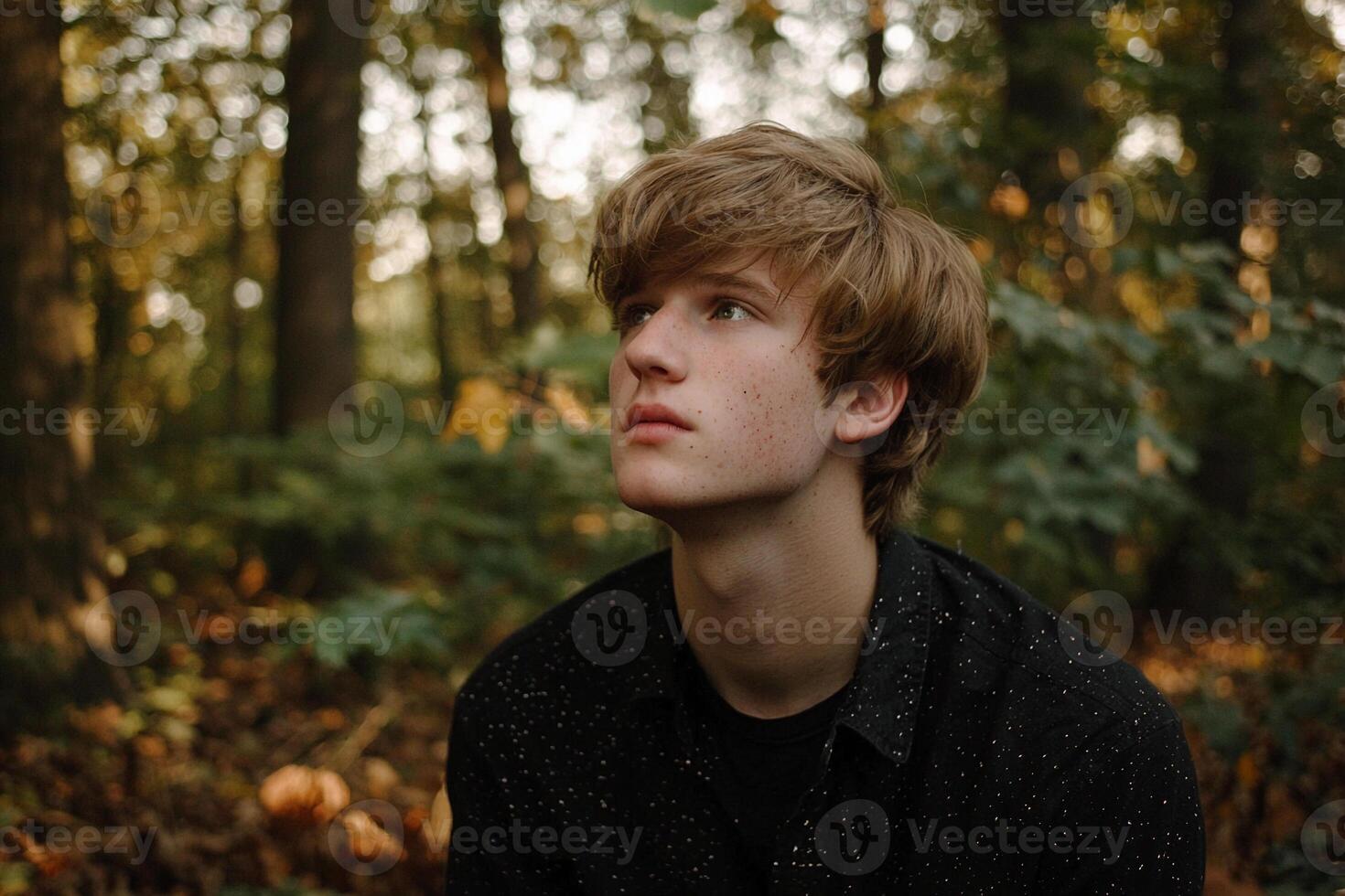A young man in the woods looking up photo