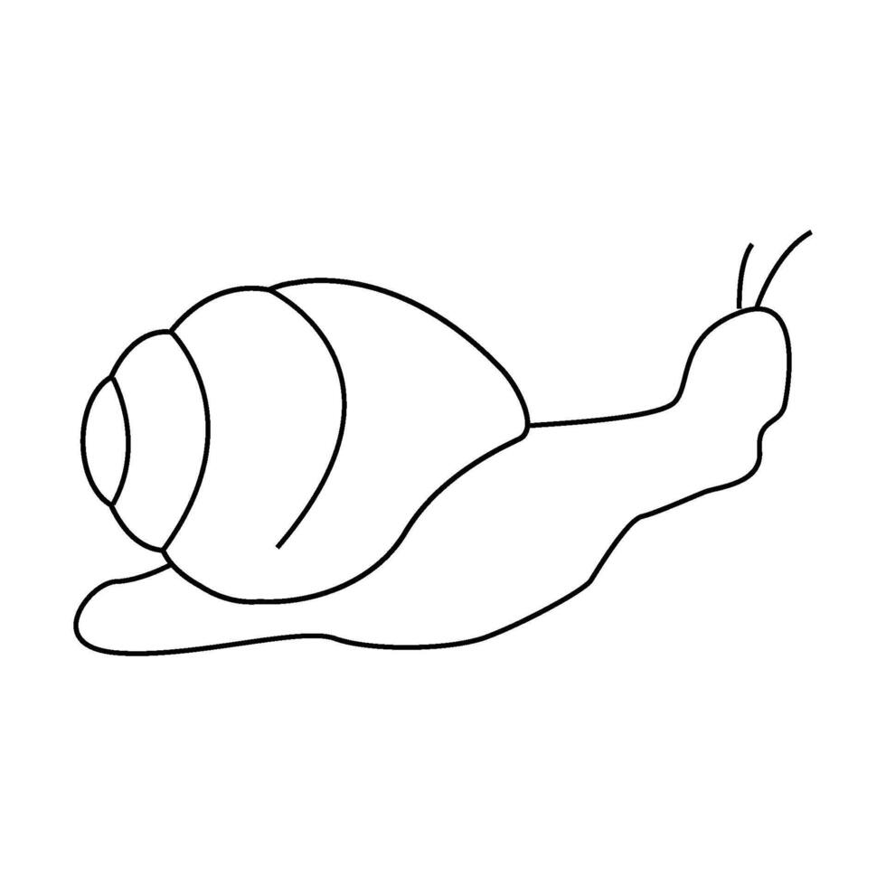 black snail icon vector