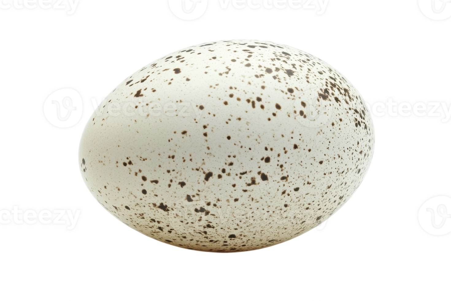 Unique speckled egg resting on a clean surface, showcasing its distinct pattern and form in natural light png