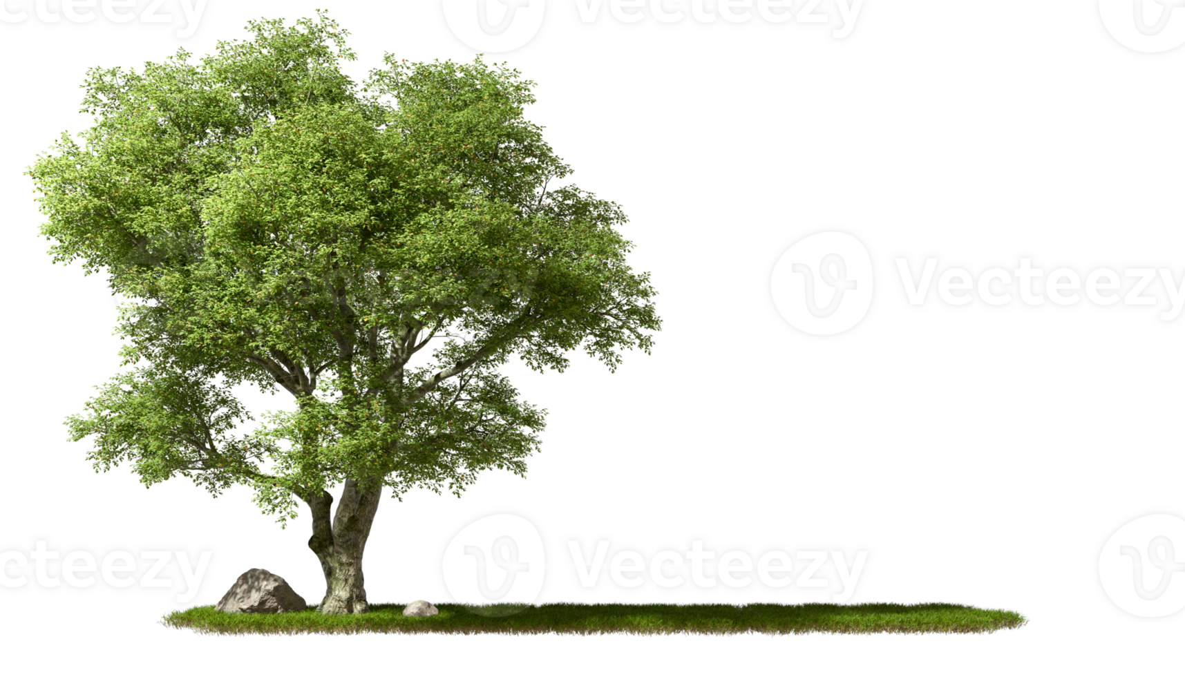 Copy-space cut out greenery big trees on grassy transparent backgrounds 3d rendering file png