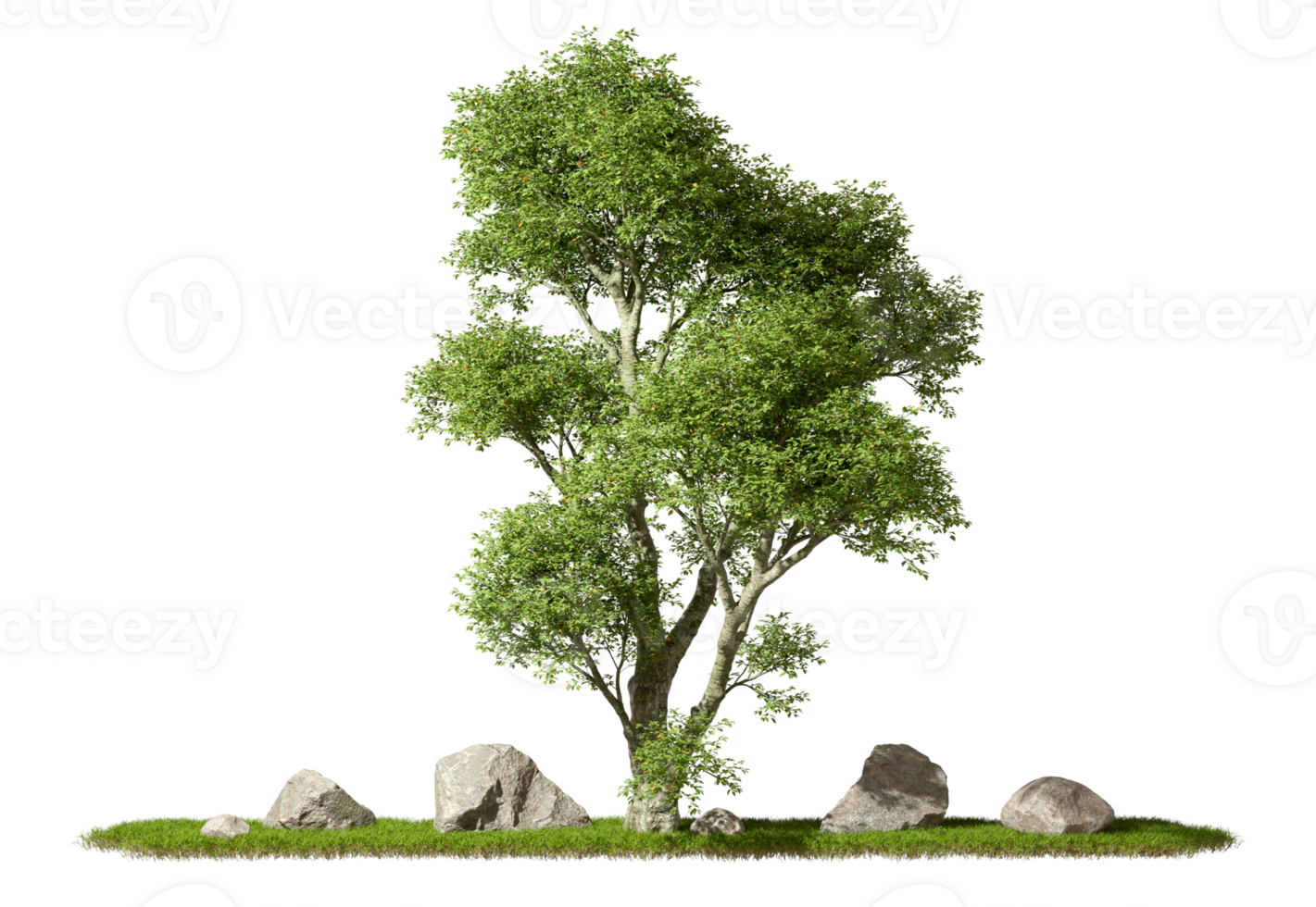 Cutout tropics greenery jungle tree and rock on grassy scene transparent backgrounds 3d rendering png