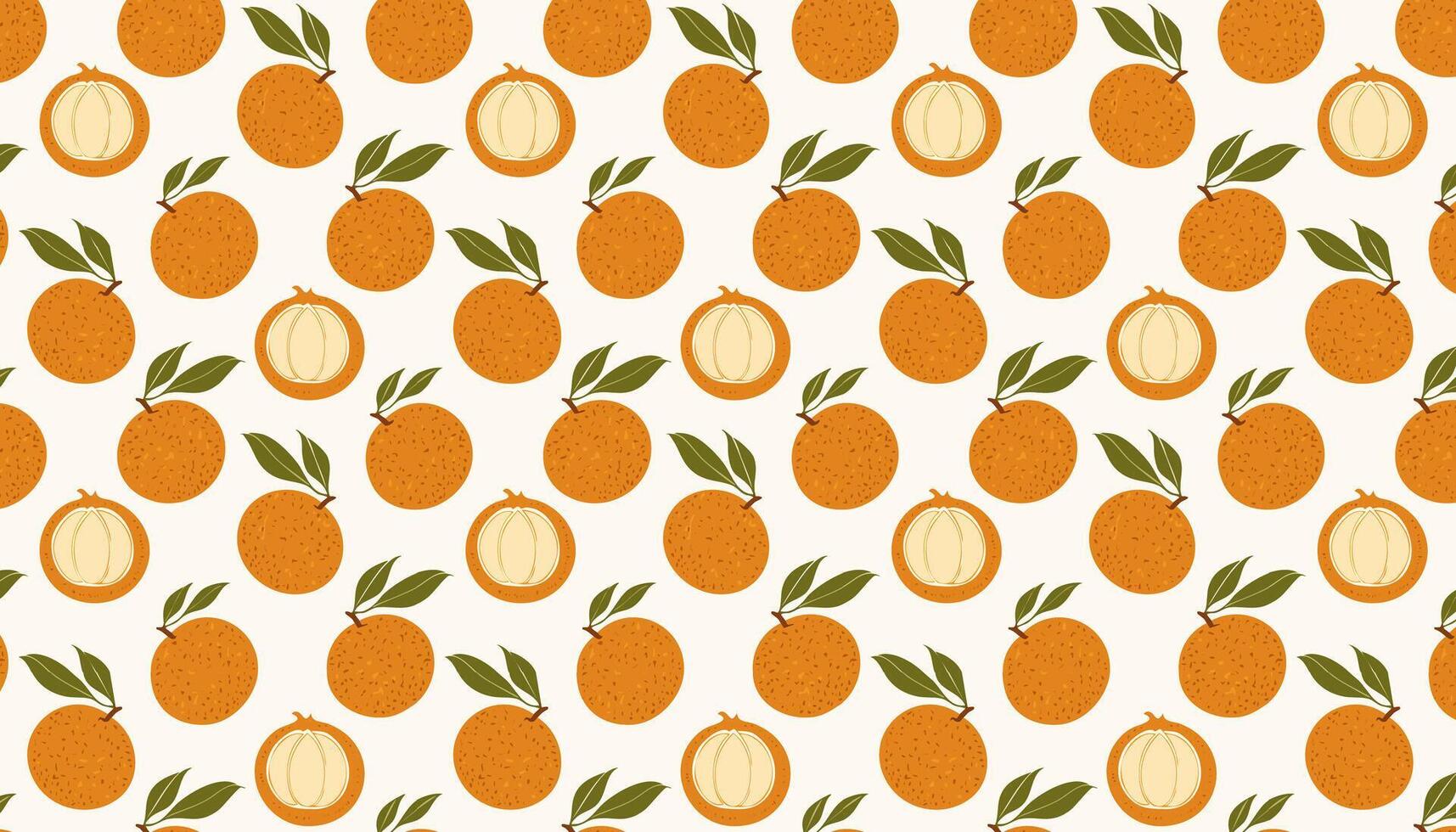 Pattern with Longan fruits on a white background. illustration. vector