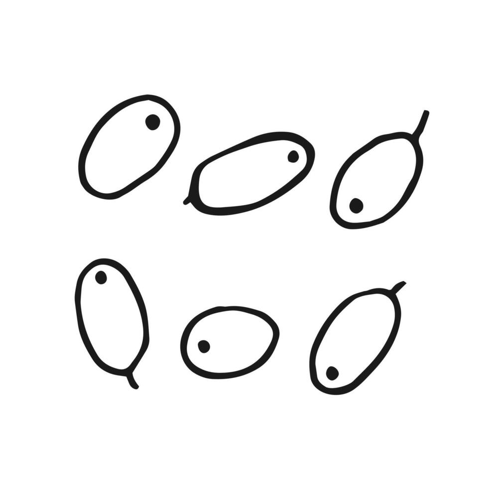 Set berries sea buckthorn. Hand drawn illustration. vector