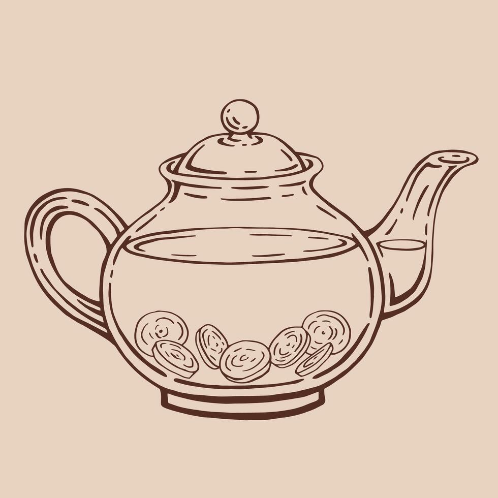 Teapot of tea with ginger. Hand drawn illustration in outline style. vector