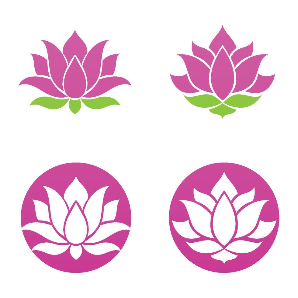Four pink lotus flowers in different shapes and sizes vector