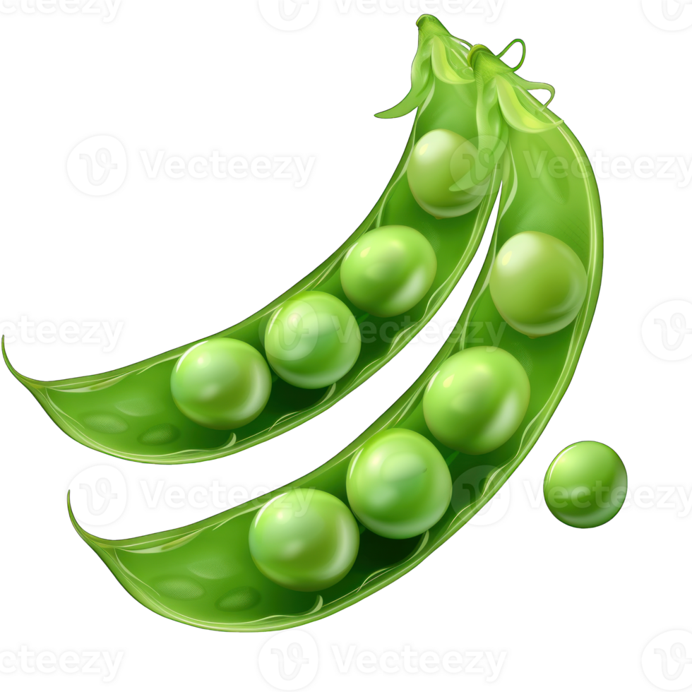 A fresh Green Peas png