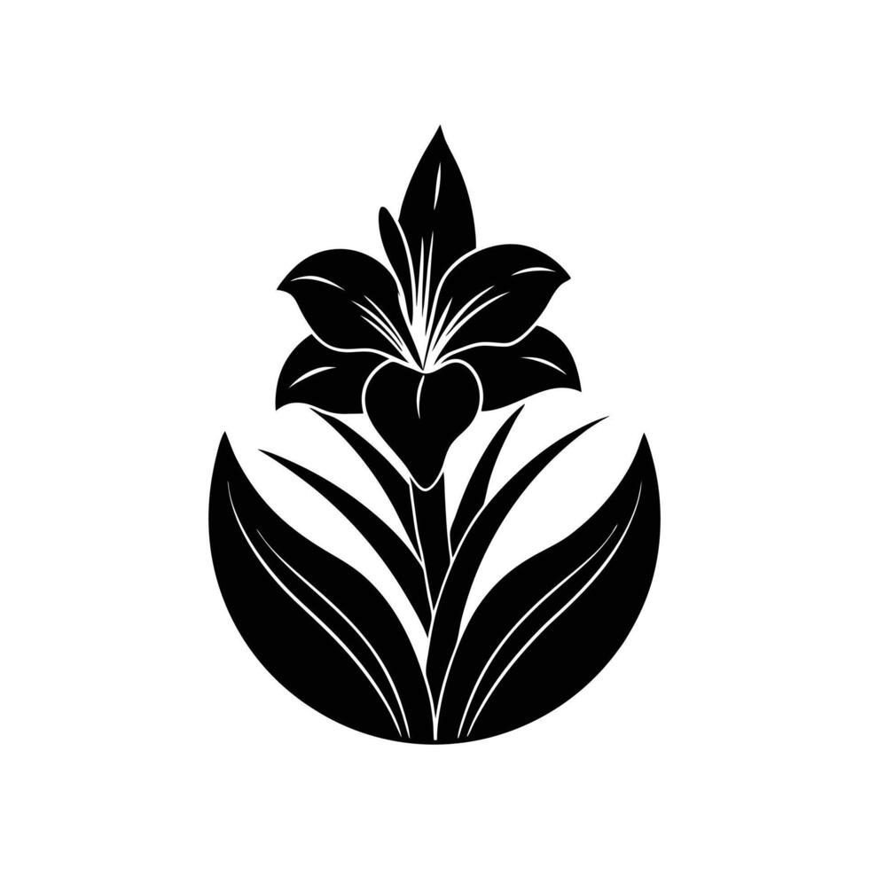 gladiolus flower silhouette illustration design vector