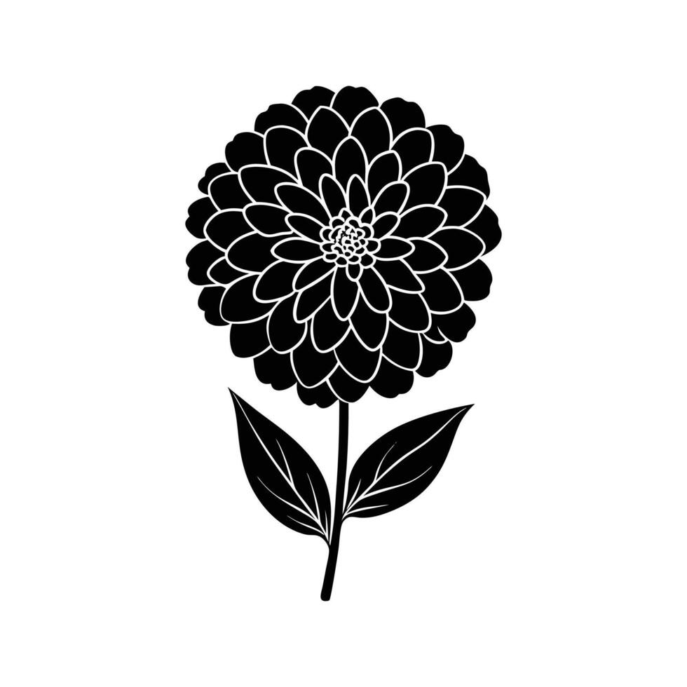 zinnia flower silhouette illustration vector