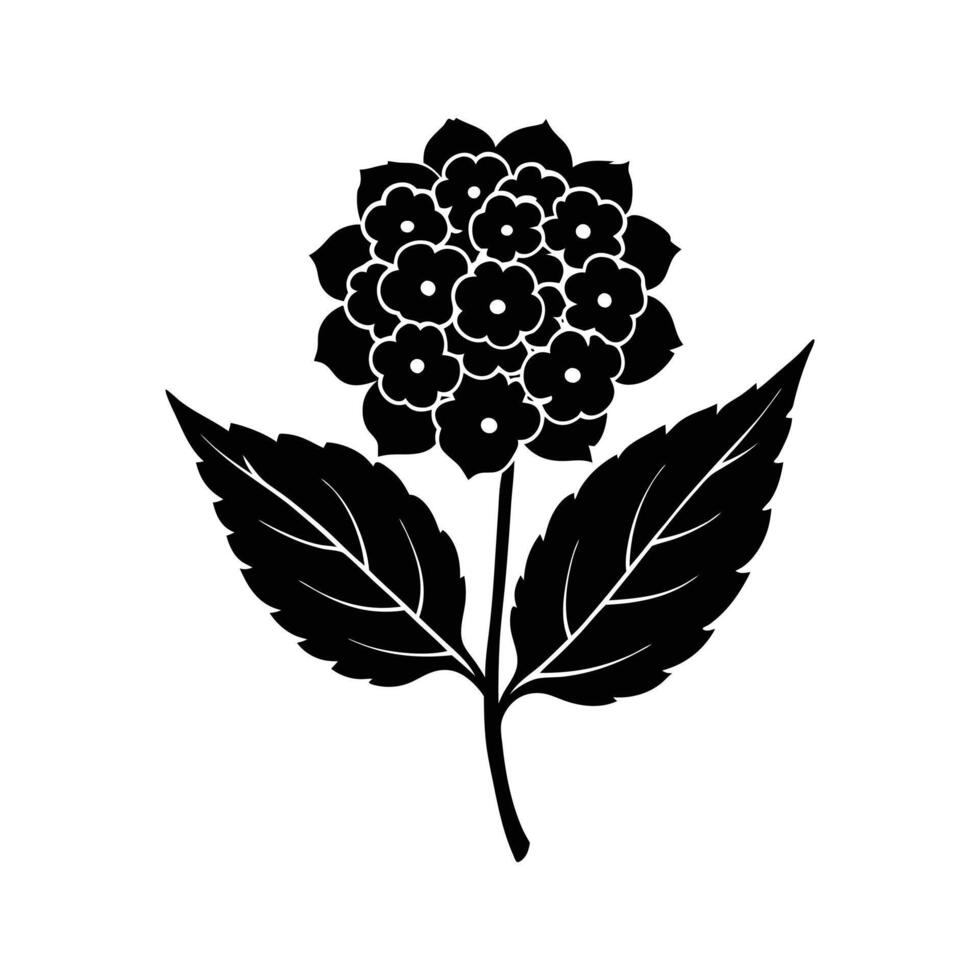 lantana flower silhouette illustration vector