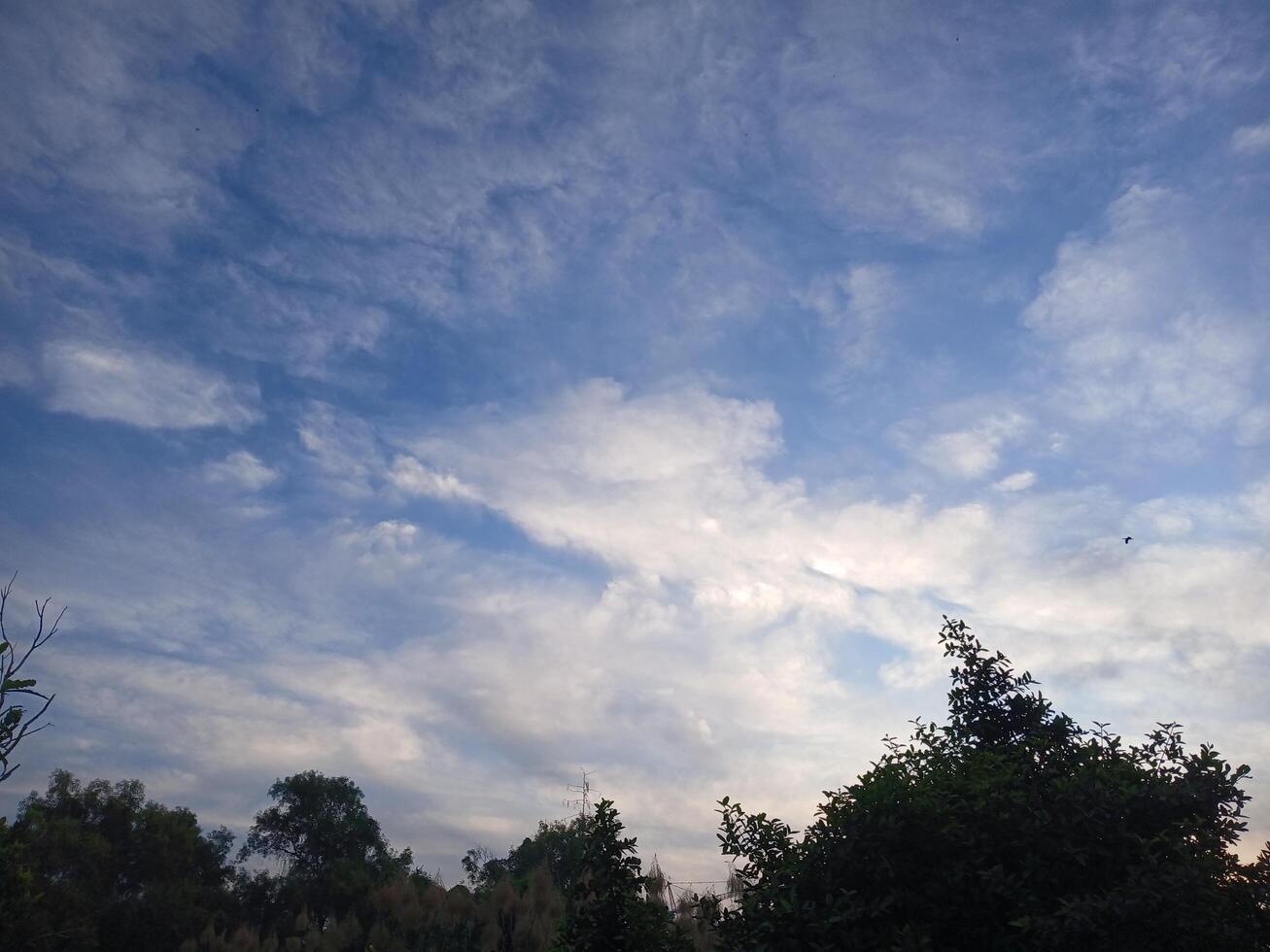 Sky nature background photo