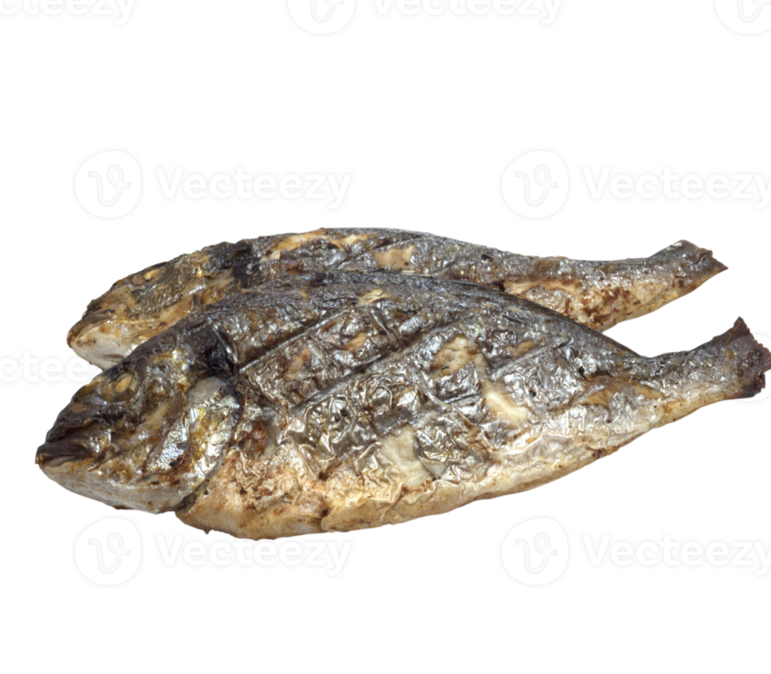 Two fish are shown png