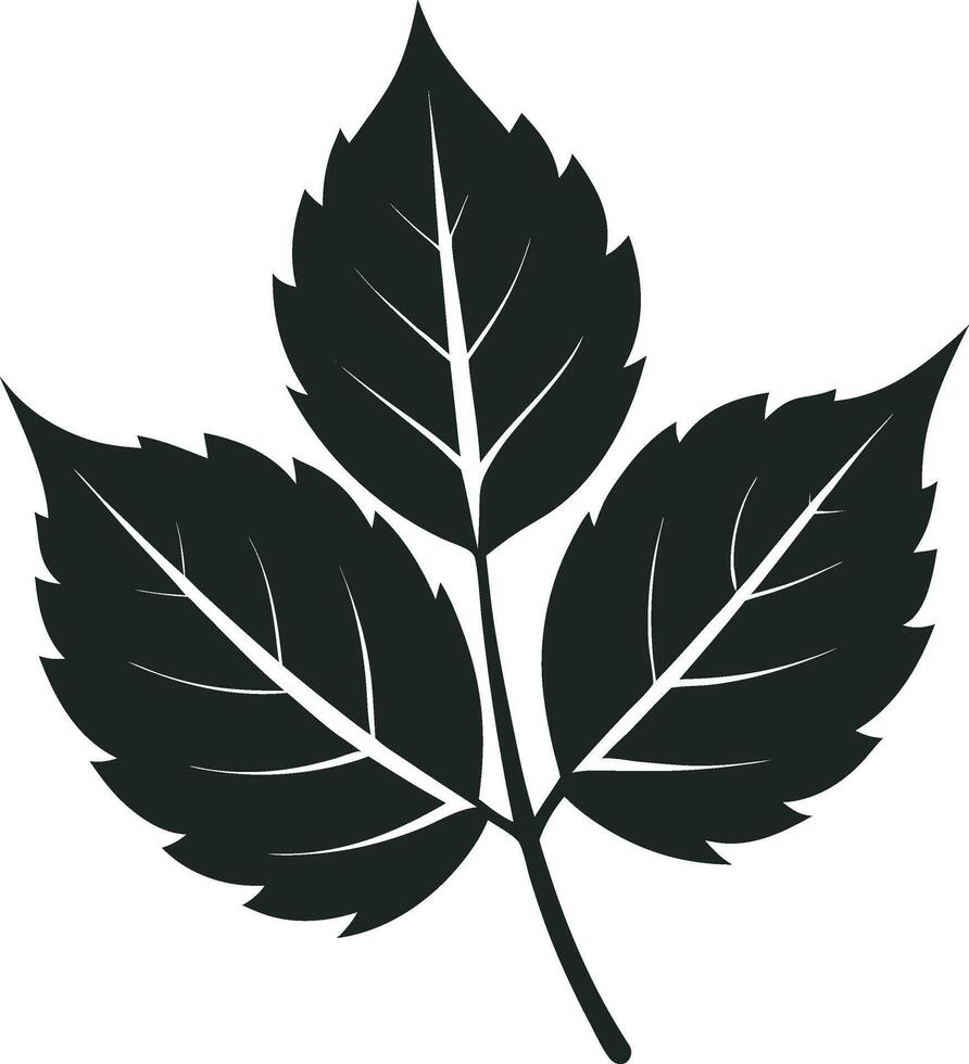 a black and white illustration of a leaf vector