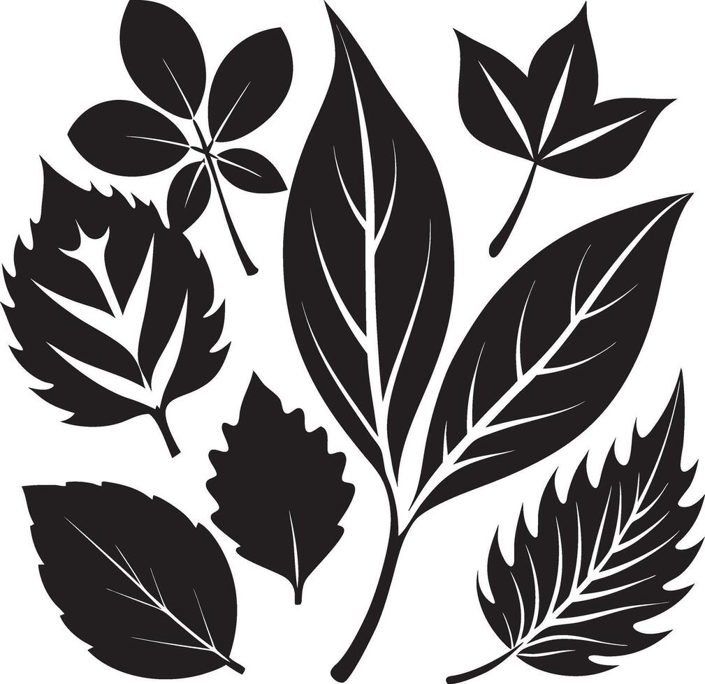 Black Leaf Silhouettes for Creative Projects vector