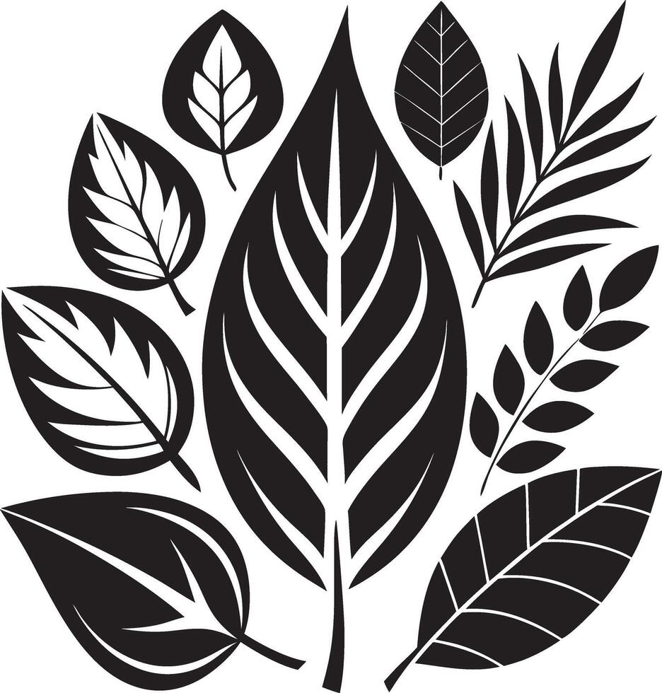 Botanical Black Art for Designers vector