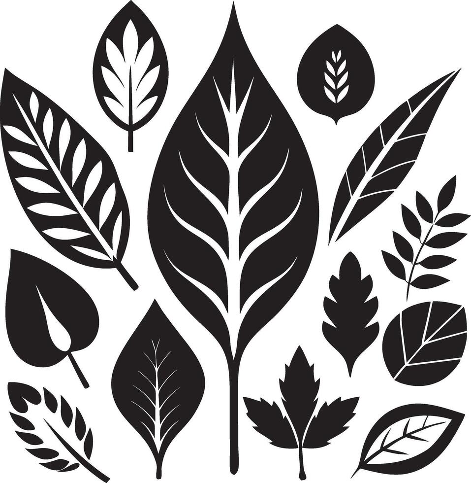 Bold Black Leaf Silhouette Collection vector