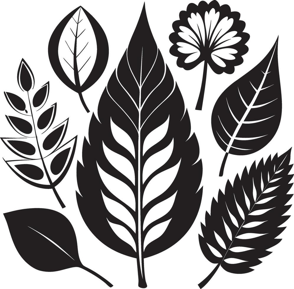 Dynamic Black Nature Pattern Pack vector