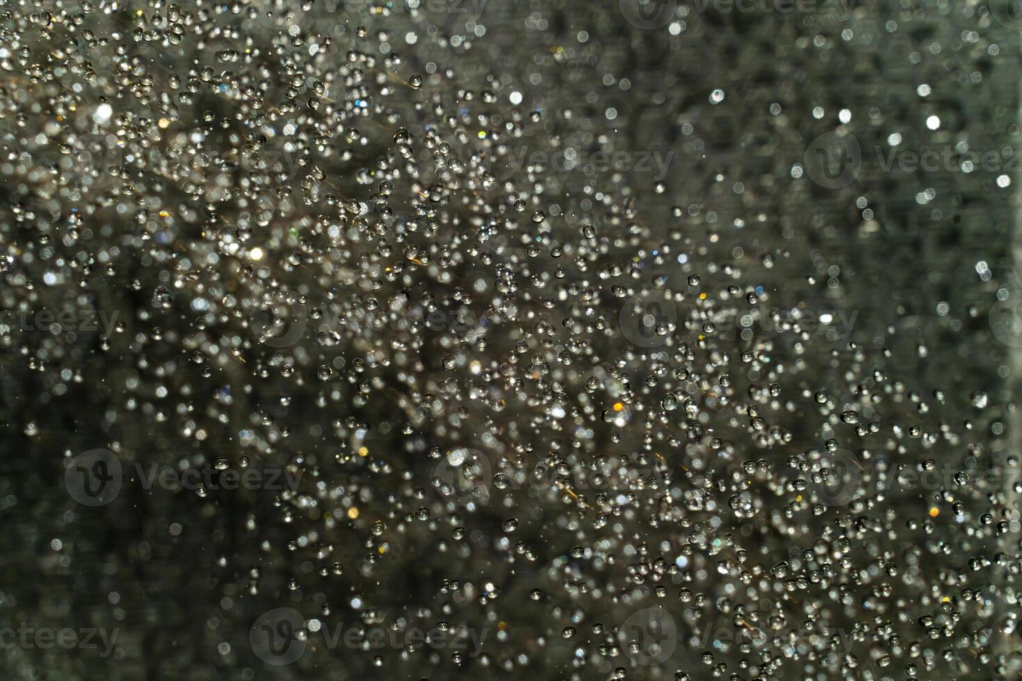 Sparkling dust particles create a mesmerizing night effect photo